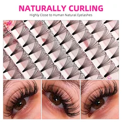 Tbestt Silk Short Stem Premade Volume Fans 8D 10D Soft Matte Russian Volume Lashes Fans Cashmere Individual Lash Extensions