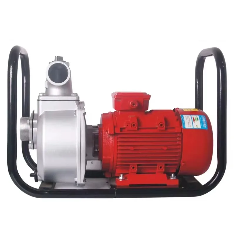 60Hz Horizontal Direct Self-Priming 2kw Centrifugal Metal Turbine Pump OEM Support for Submersed Marine Use Water Pumps