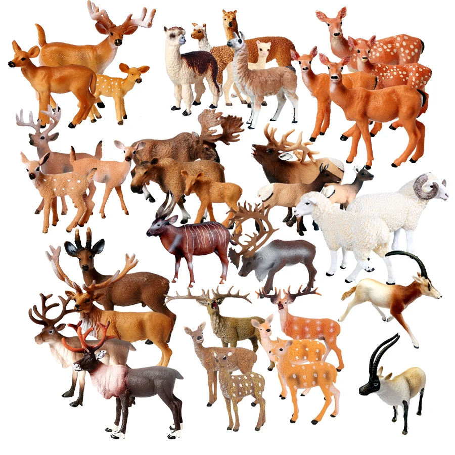 Simulazione Wild Animal Alpaca, antilope Sheep,Elk,Whitetail Deer,Sika-Deer Model Figurine Educational Collector Figurine giocattoli per bambini