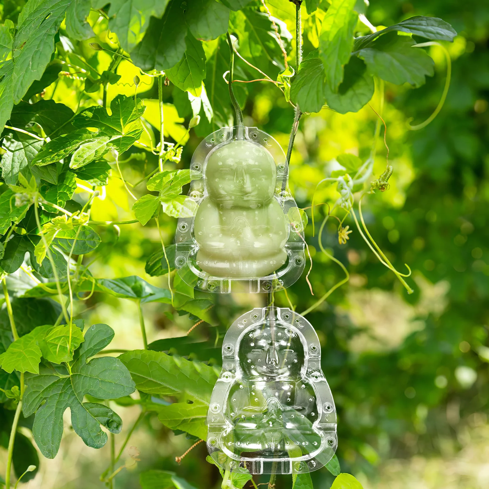 

2pcs Adorable Buddha Transparent Pc Material Fruit Shaping Grow Melon Mold Cute Ginseng Forming Mold Heat Resistant