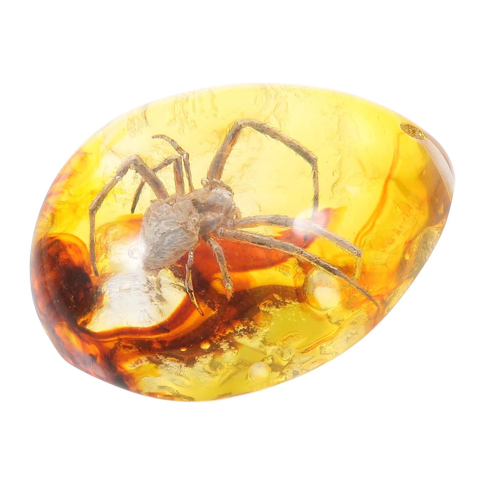 

Locket Amber Beeswax Specimen Resin Spider Crafts Insect Decorations Charms Yellow Pendants