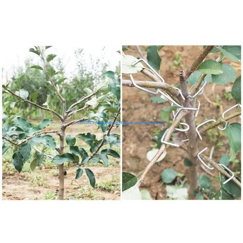 367D 20/50/100Pcs Fruit Tree Branch Puller Tying Machine Branch Bending Tool Fruit