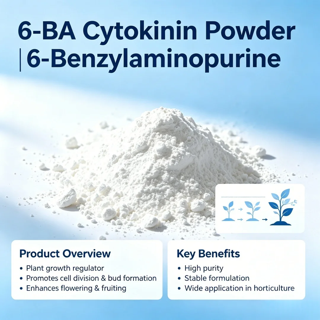 6-BA Cytokinin Powder 6-Benzylaminopurine Plant Growth Regulator for Garden Farm Promote Division Germination