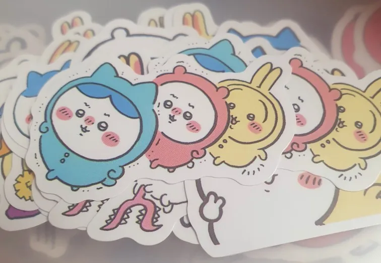 실물 포토 리뷰