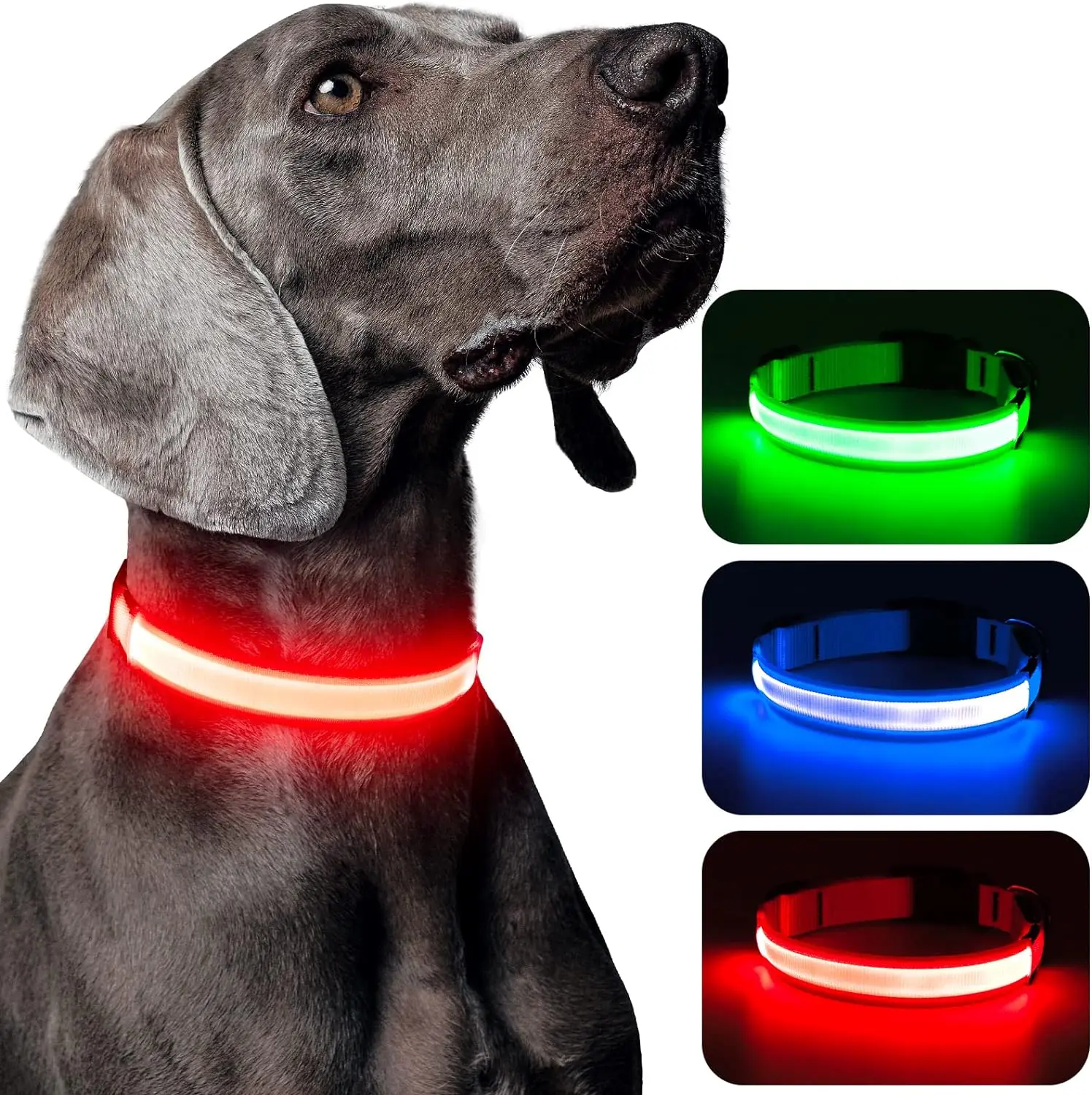 LED Dog Collar USB Rechargeable - Bright & High Visibility Lighted Glow Collar for Small Medium Large Breeds Pet Night Walking