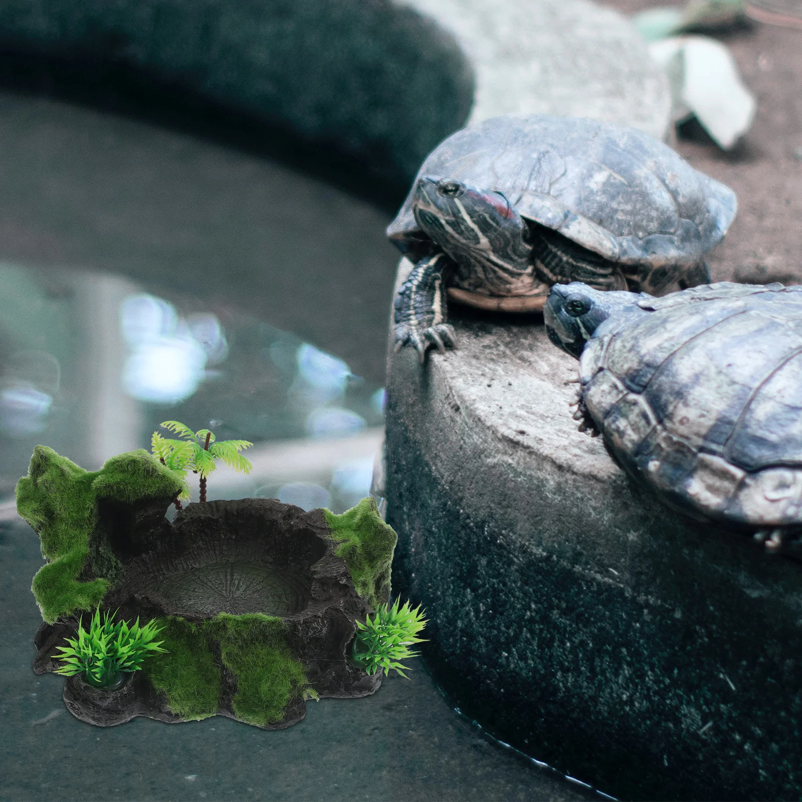 طبق تغذية الزواحف الراتنج عدم الانزلاق للسحالي القرن الضفادع تررم وعاء الماء ديكور طبيعي مقاوم للاهتراء #2