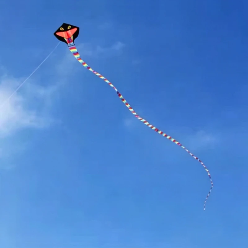 15m Snake kite flying dragon kites for adults kites string winder parachute kites dinosaur kites cobra volantines eagle kites view 6