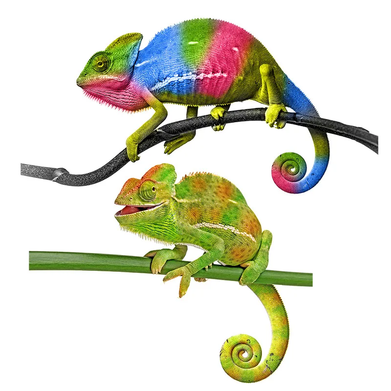 M507# Car Sticker Chameleon Sticker Fierce Lizard Waterproof Vinyl Decal Car Accessories Decor Pegatinas Para Coches