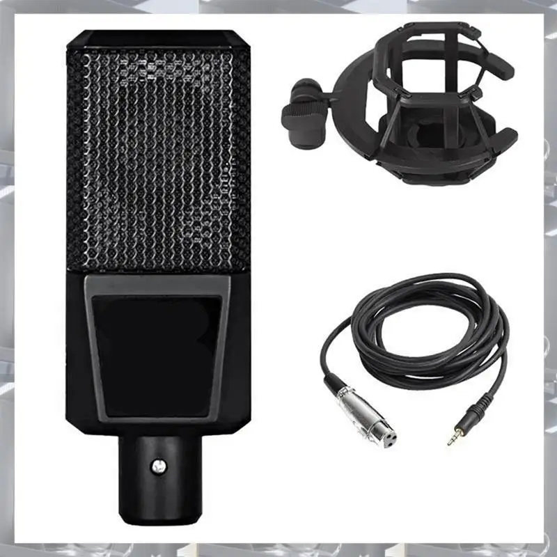 

D241 Professional Studio Condenser Microphone Bundle With Mic Holder For Record Broadcast Durable
