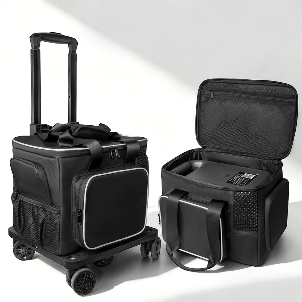 Hard Portable Case For DJI Power 1000 Mini Power Station Organizer Bag Protective Travel Storage Box Outdoor Accessories