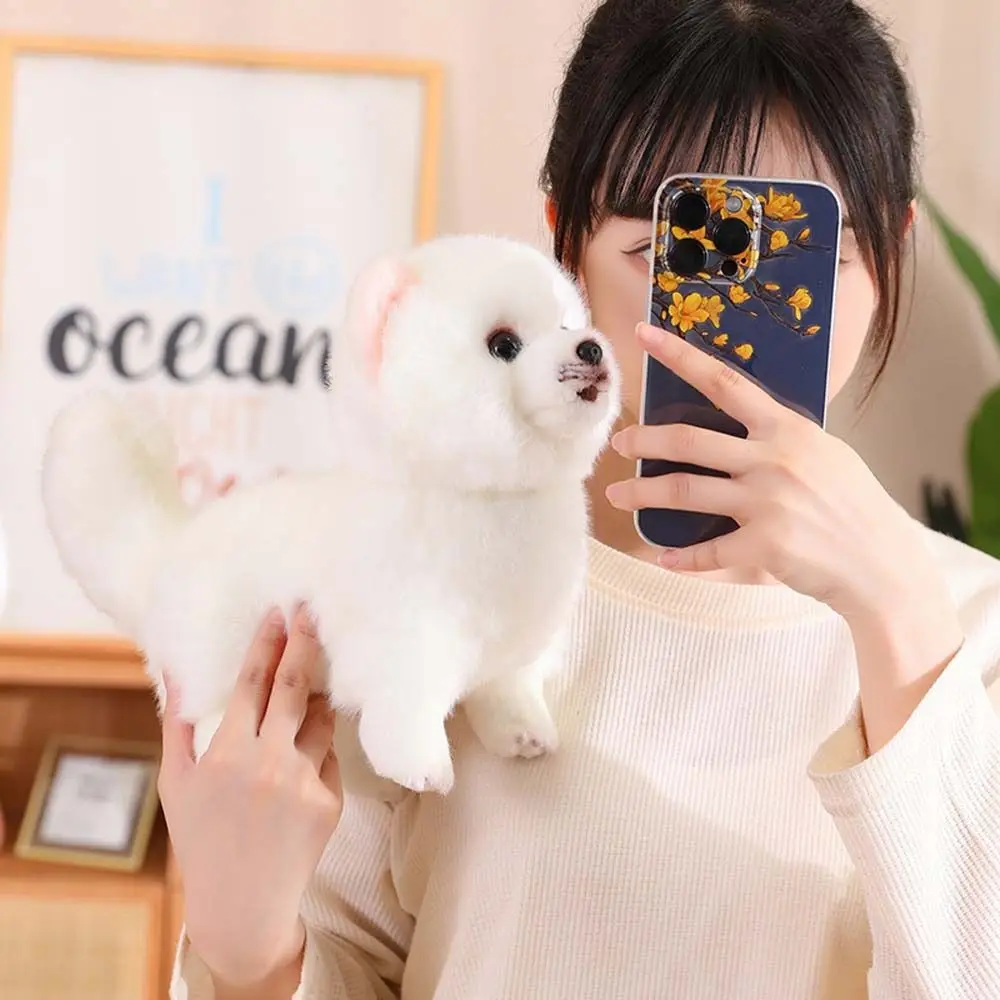 ยืน Pomeranian Plush ของเล่นตุ๊กตาสัตว์ชีวิตจริงจําลอง Pomeranian สุนัขสัตว์เลี้ยงตุ๊กตาตกแต่งบ้านตุ๊กตาลูกสุนัขตุ๊กตา