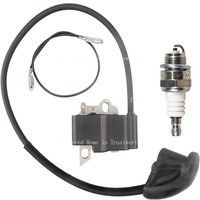 Ignition Coil High Voltage Pack Suitable for FS120 FS120R FS200 FS200R FS250 with Spark Plug