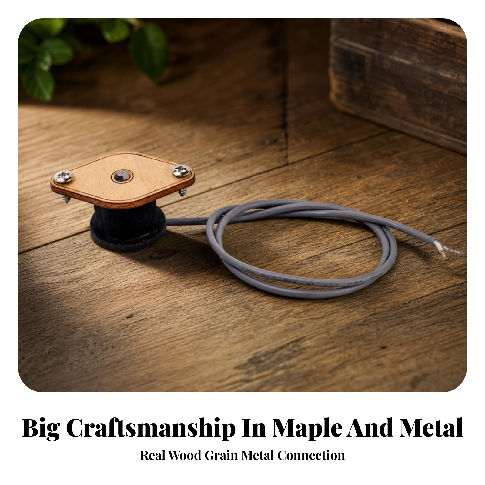 Single-String Pickup Compact P - đánh giá và giá Build Plate