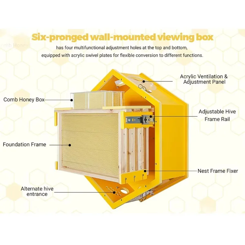 Beekeeping Observation Beehive Starter Kit Wall Mounted Hexagonal Beehive