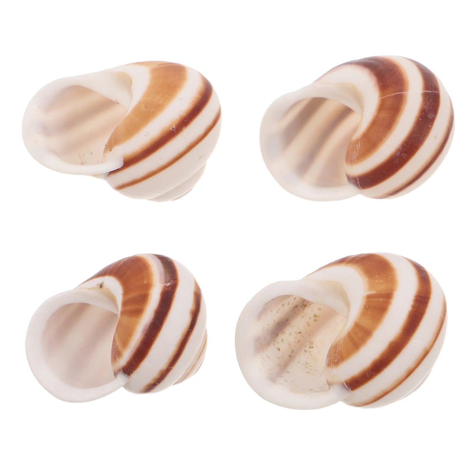 Juego de vajilla de caracol de estilo francés, comedor elegante para comidas gourmet, plato de cocina clásico de caracoles, elementos esenciales de cocina