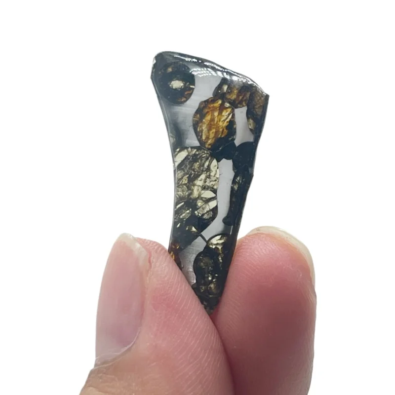 Seymchan Pallasite Meteorite Slice Natural Olivine Stony Iron Meteorite Genuine Space Mineral Specimen  Making Raw Mat TA743