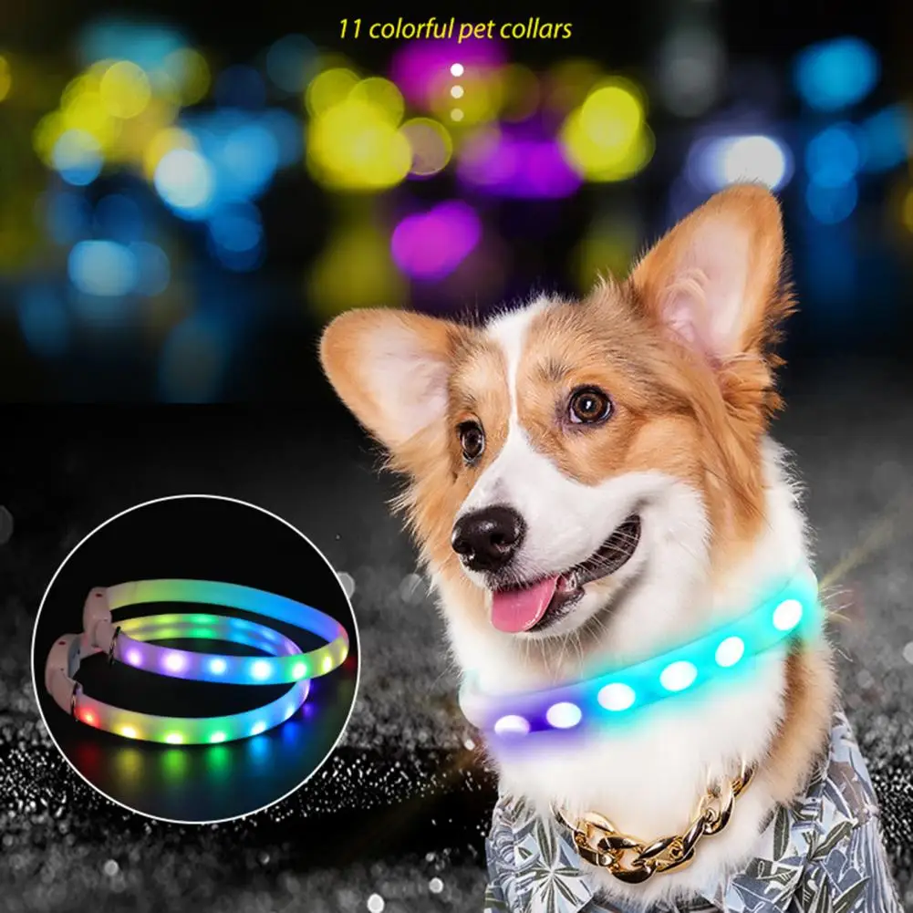 LED Pet Collar Adjustable Mult Flashing Modes Waterproof Glowing Rechargeable Lightweight Dog Collar