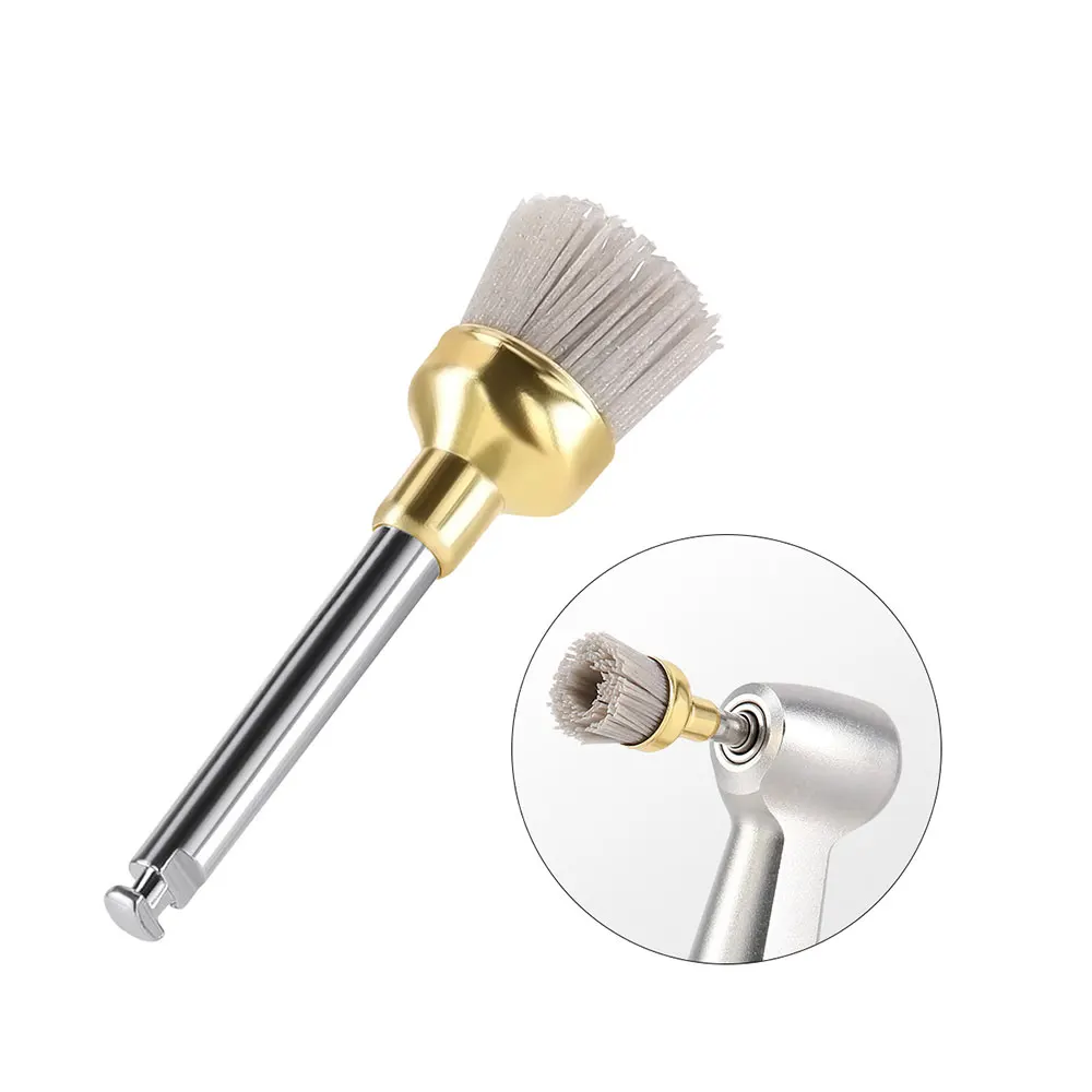 10PCS AZDENT Dental Polieren Pinsel Aluminium Oxid Siliziumkarbid Polieren Prophy Pinsel Werkzeug für Contra Winkel Handstück – Detail 8