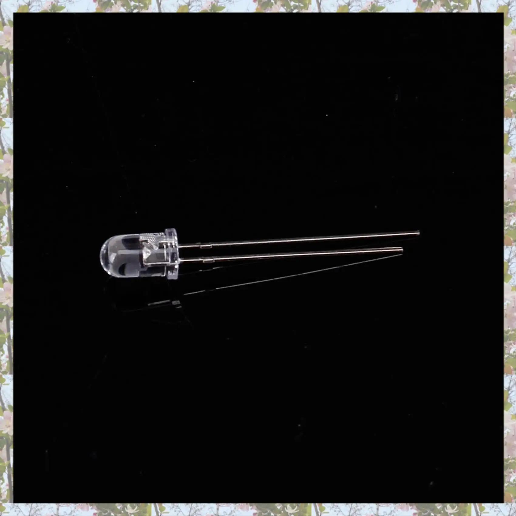 T84C-30Pcs Diodo emisor de luz infrarroja LED IR de 5 mm.
