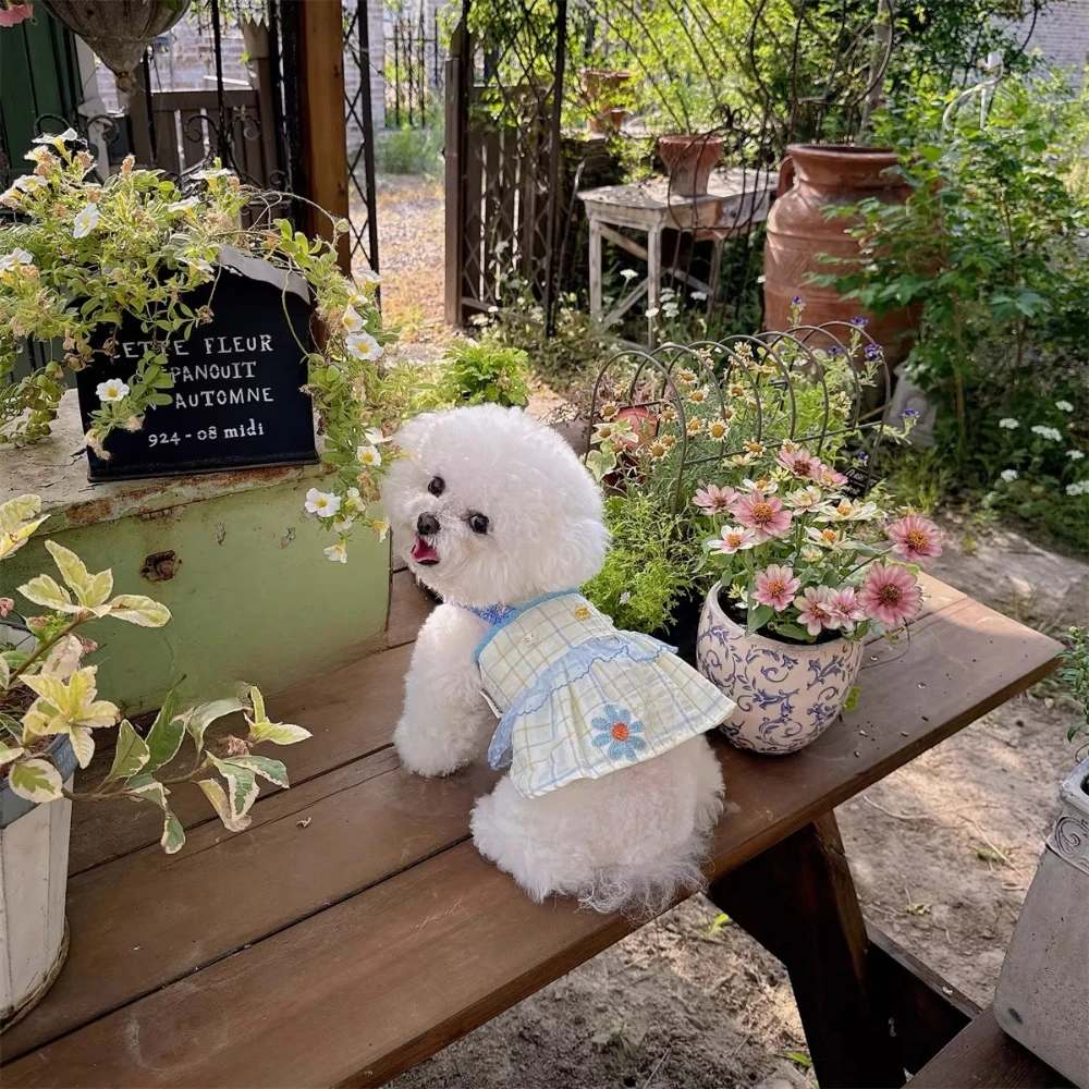 Summer Breathable Light Yellow Plaid Blue Flower Decorative Dress Fresh Style Small and Medium Pet Dog Dress Can Be Towed
