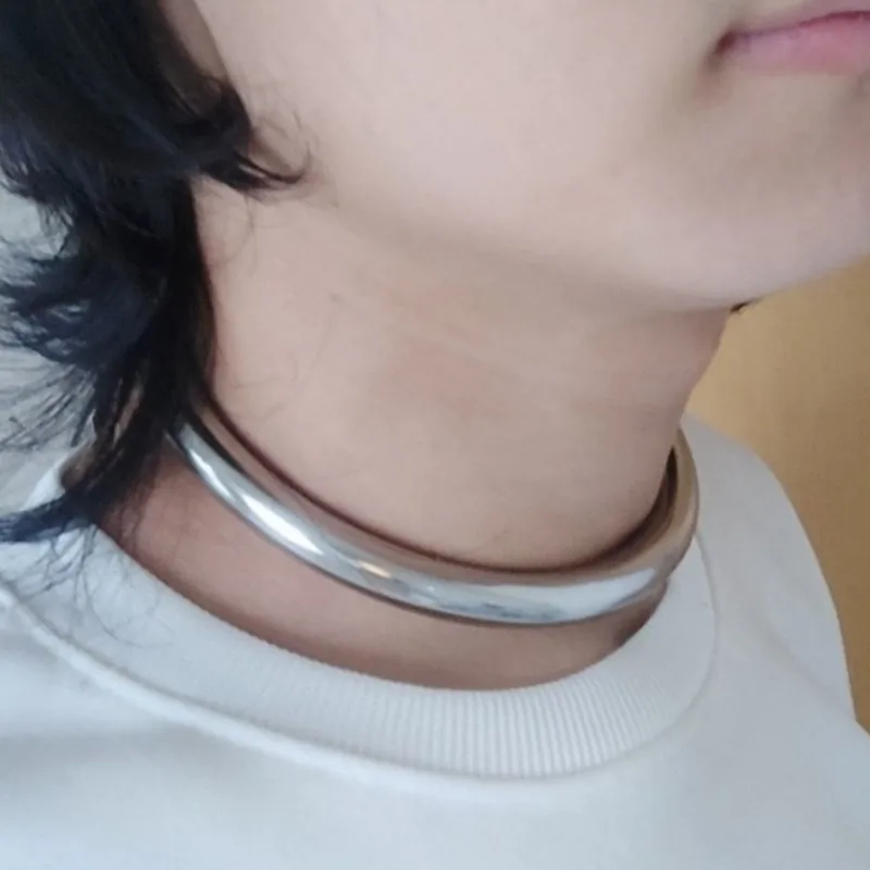 Collar de Acero Inoxidable con Anillo en D, Cierre de Tornillo, Accesorio de Disfraz Gótico para Parejas, Cosplay, Fiestas y Juegos