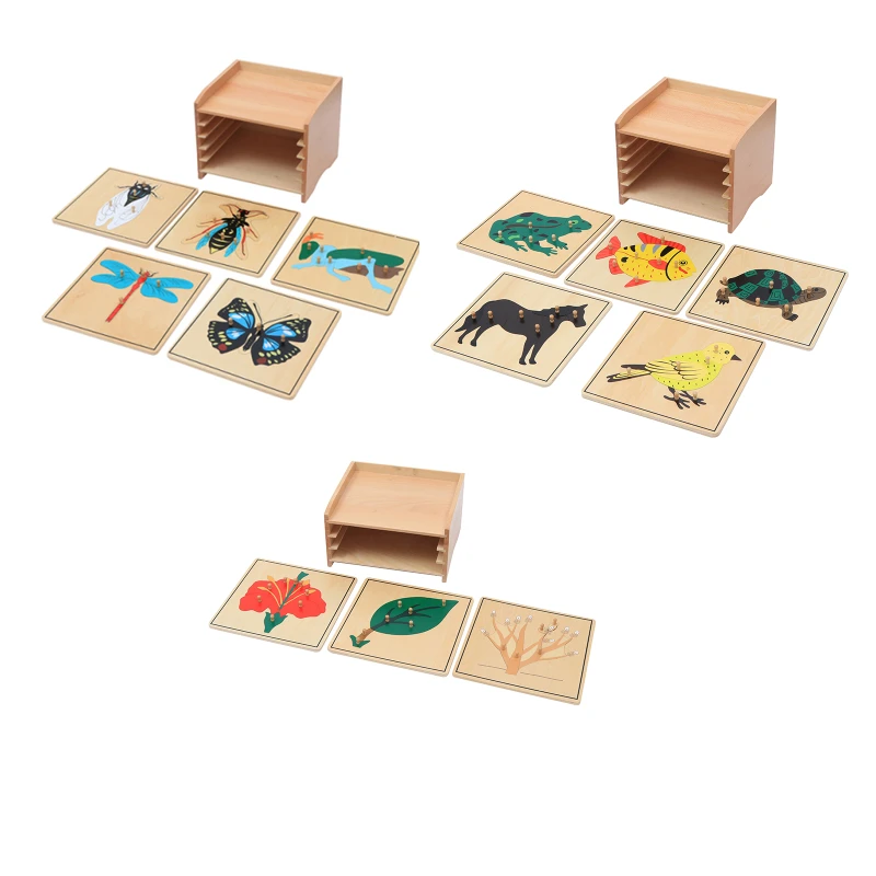 Montessori Educational Wooden Toys Botanical Cabinet Botany/ Animal/ Insect Puzzles for Children Biologic Science Early Learning