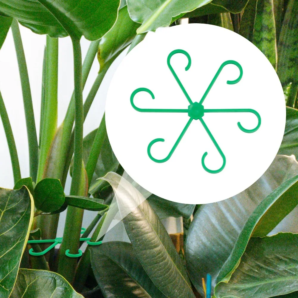 دعم النبات حصة الإطار Monstera الربيع ريشة المائية البستنة النباتات الزهور وعاء مكافحة استغلال استقرار قوي دائم