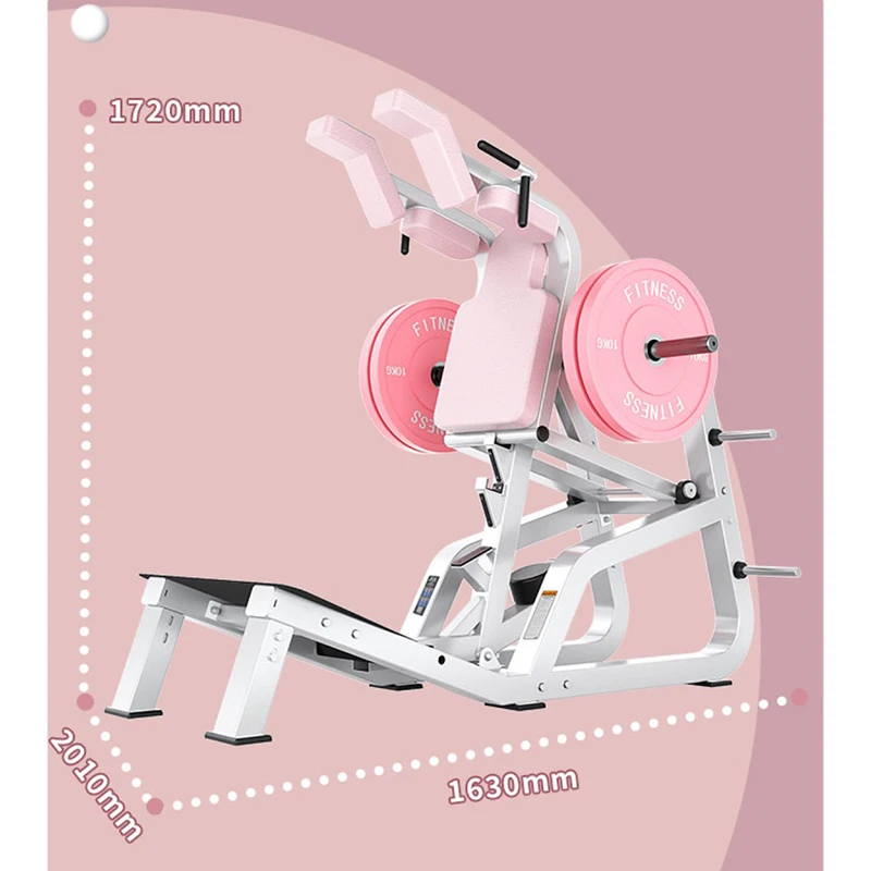 Hack Squat Rack Women's Shaping Equipment Indoor Squat Trainer EM1032 Fitness Equipment Female leg strength training