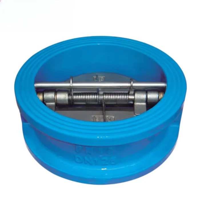 

4 Inch PN16 Cast Iron Spring Non Return CF8 Disc Wafer Check Valve for Water
