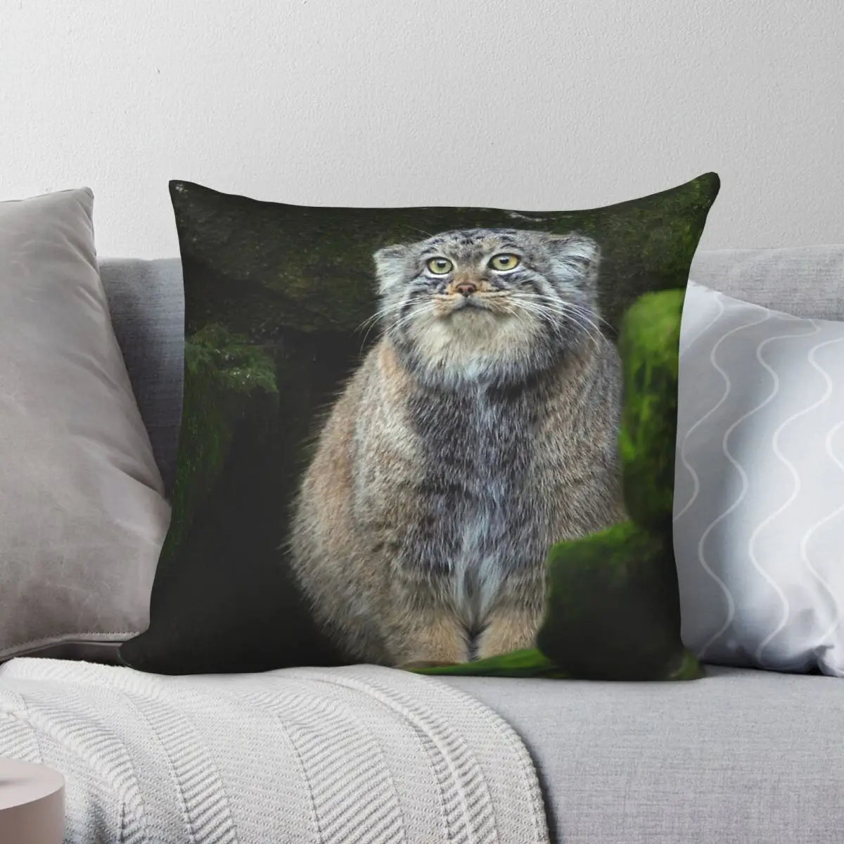 Pallas's Cat Nature Pillowcase Polyester Linen Velvet Printed Zip Decor Home Cushion Case