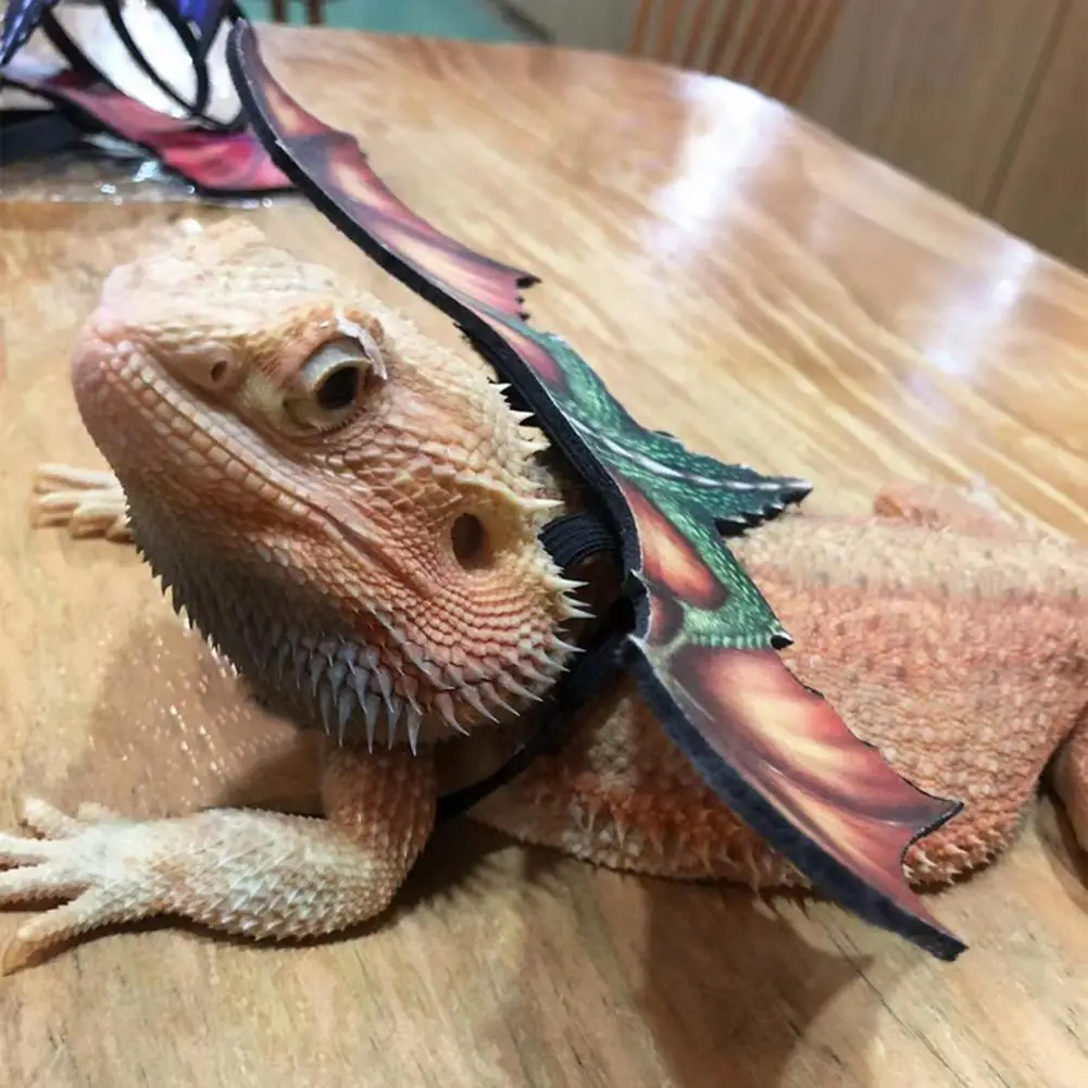 Durable Reptile Leash Convenient Lizard Harness Anti-Bite Wings Comfortable Bearded Dragon Harness