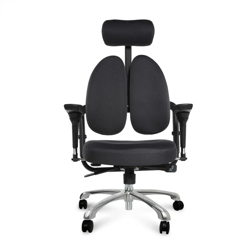 Computer Executive  Ergonomic Chair Comfortable Double Back  40bh