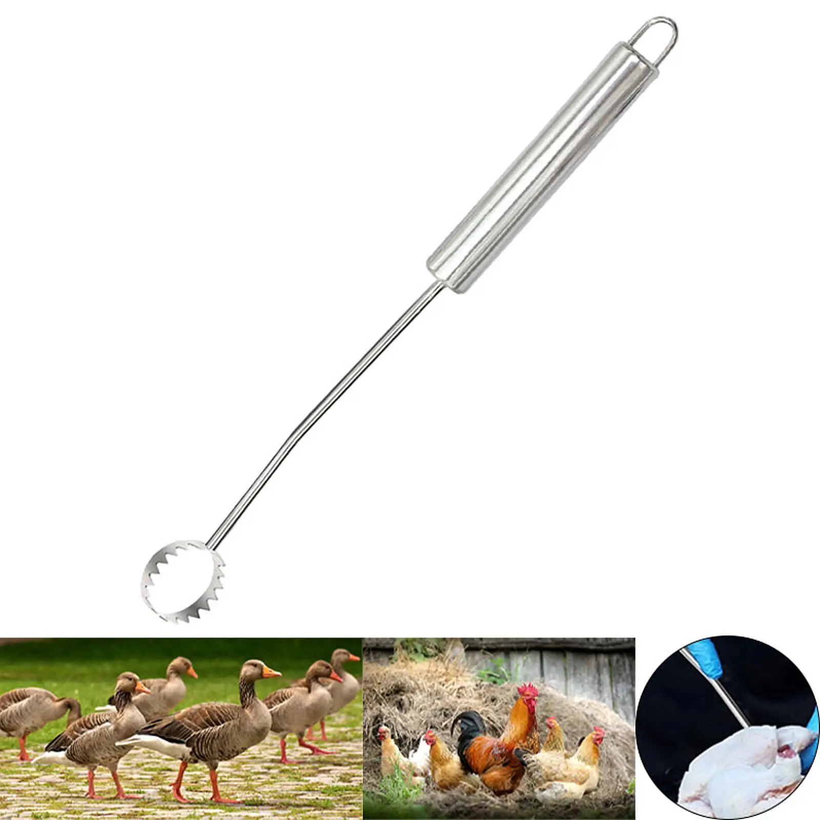 Efficient Lung Gutting Tool for Turkey Chicken Butchering Equipment Easily Removes Easy to Use Bird Tool Chicken Cleaner