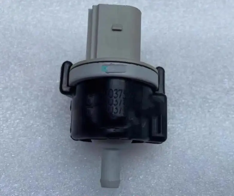 

P700000323 Carbon canister solenoid valve for Foton Sauvana 4G20T BX5 BX7 2.0T