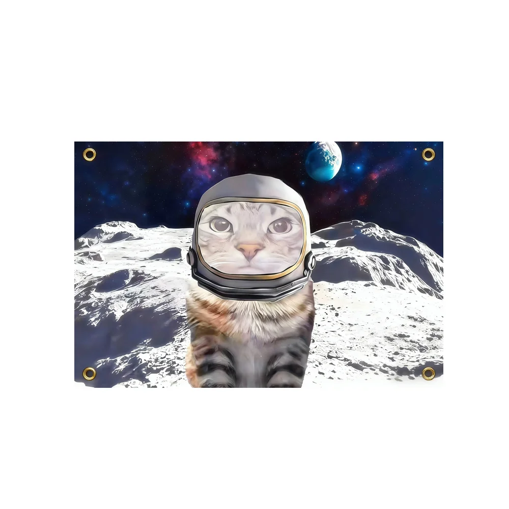 Astronaut Cat On Moon Flag Space Galaxy Universe Banner Polyester Flag 2x3ft 3x5ft For Dorm Bedroom Kids Room Wall Decor