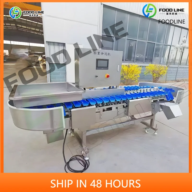 Customized Potato Tomato Garlic Chili Pepper Onion Carrot Cucumber Mushroom Grading Sorting Machine
