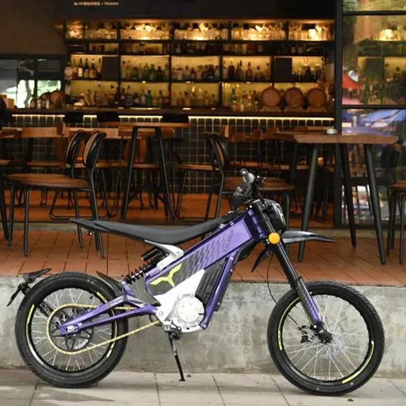 Joyebikes 2023 Talaria Sting X3 TL2500 Mountain E Bike Off Road Electric Motorcycle with 60V /40Ah Battery