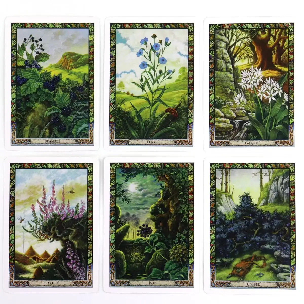 

10.4*7.3cm The Druid Plant Oracle 36 Pcs Cards: Working with The Magical Flora of The Druid Tradition