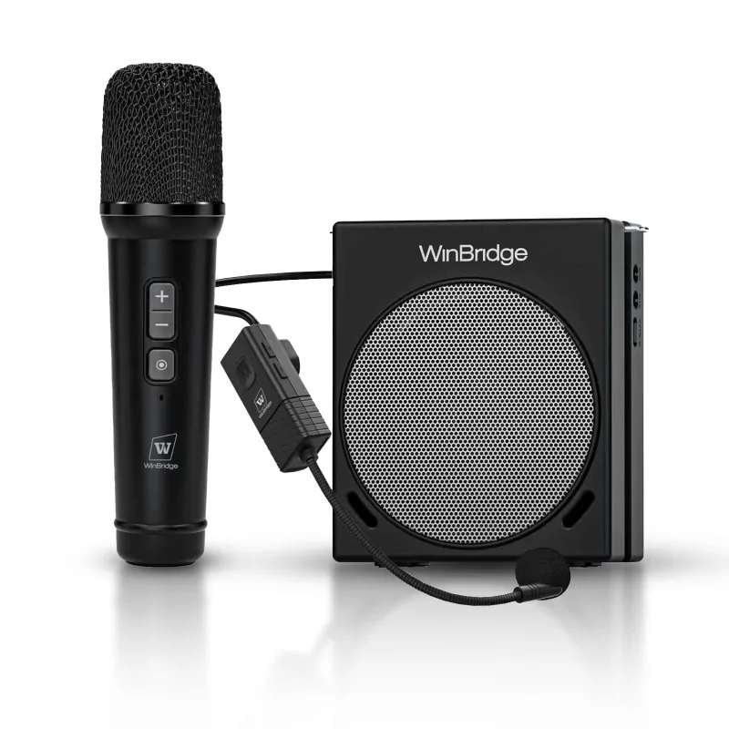 Portable PA System Speaker 30W 2 Wireless Handheld Mini Amplifier