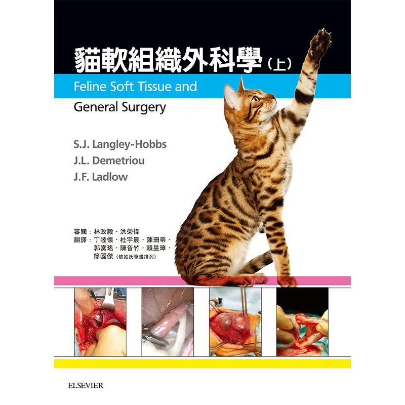 Feline Soft Tissue Surgery Volume 1 9789869548588