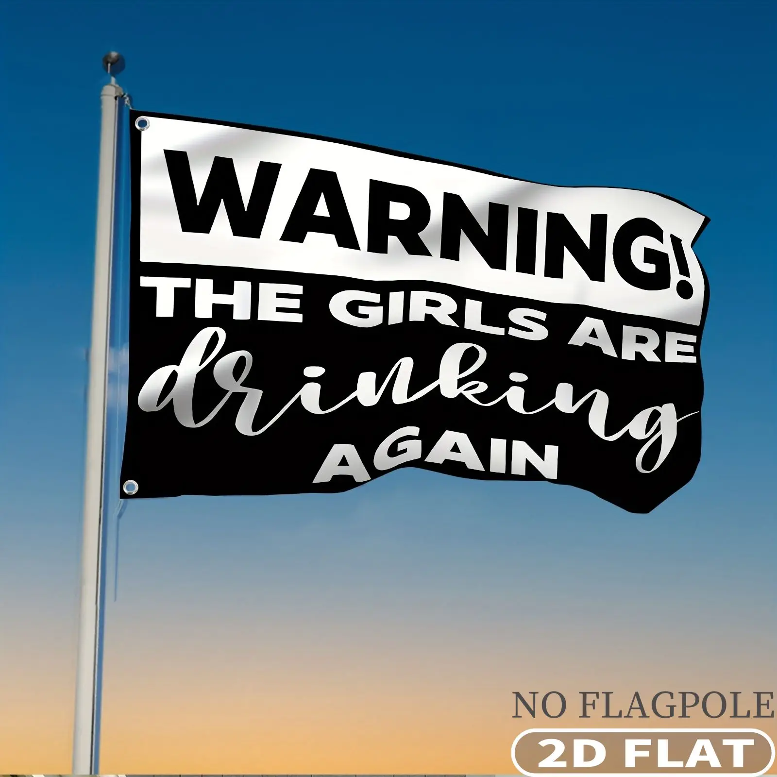 1pc 2D FLAT Outdoor Flag, Single Side 2D FLAT Printing Warning The Girls Are Drinking Again Flag Banner, Durable Polyester Fab