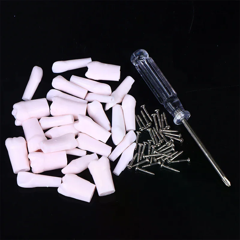 28/32pcs Dental Typodont Teeth Model Removable Individual Screw-in Resin Training Aid Denture Practice Replacement Tooth