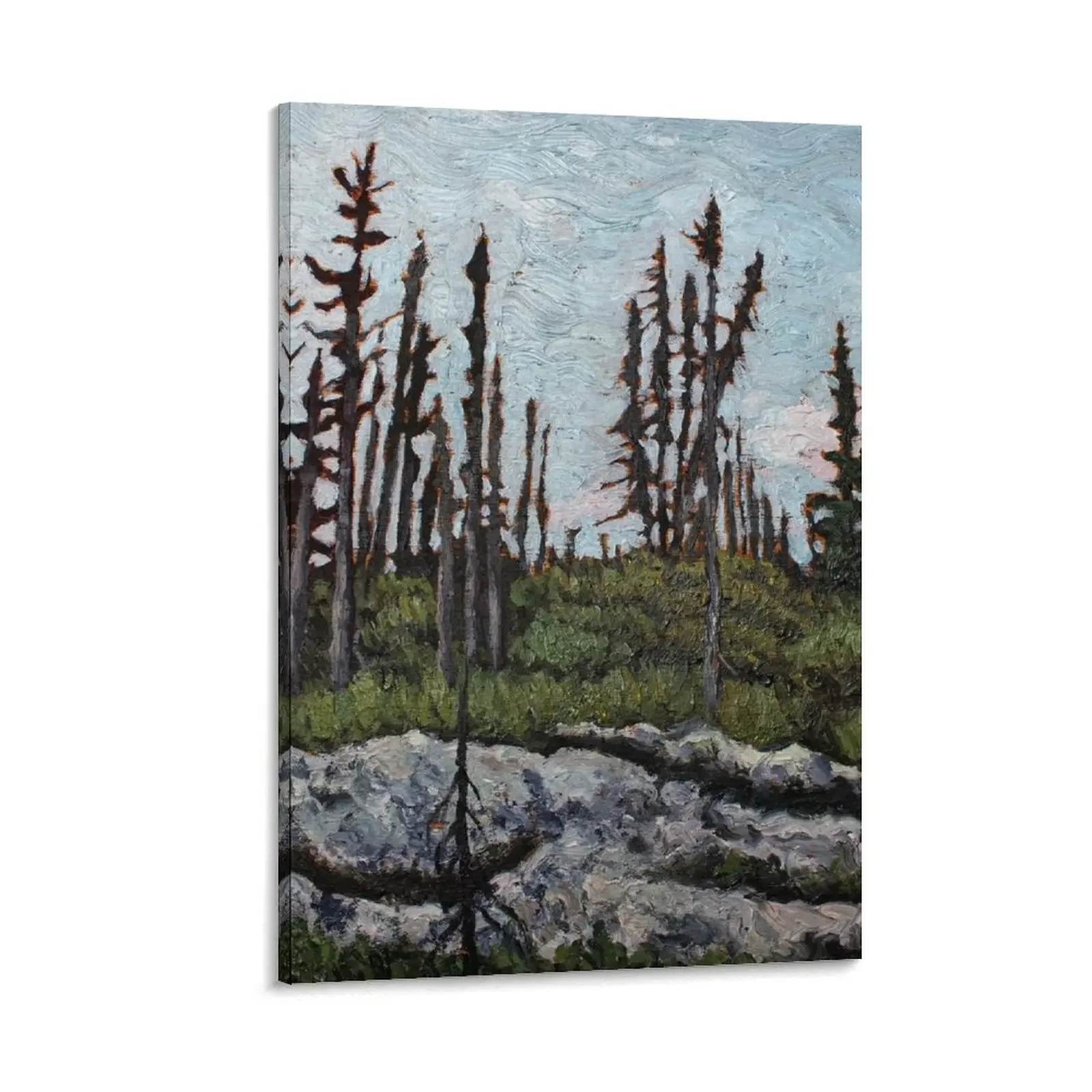 

Moisie River Campsite Painting Canvas Painting decorative frames wall room paintings wall decor Decoration home