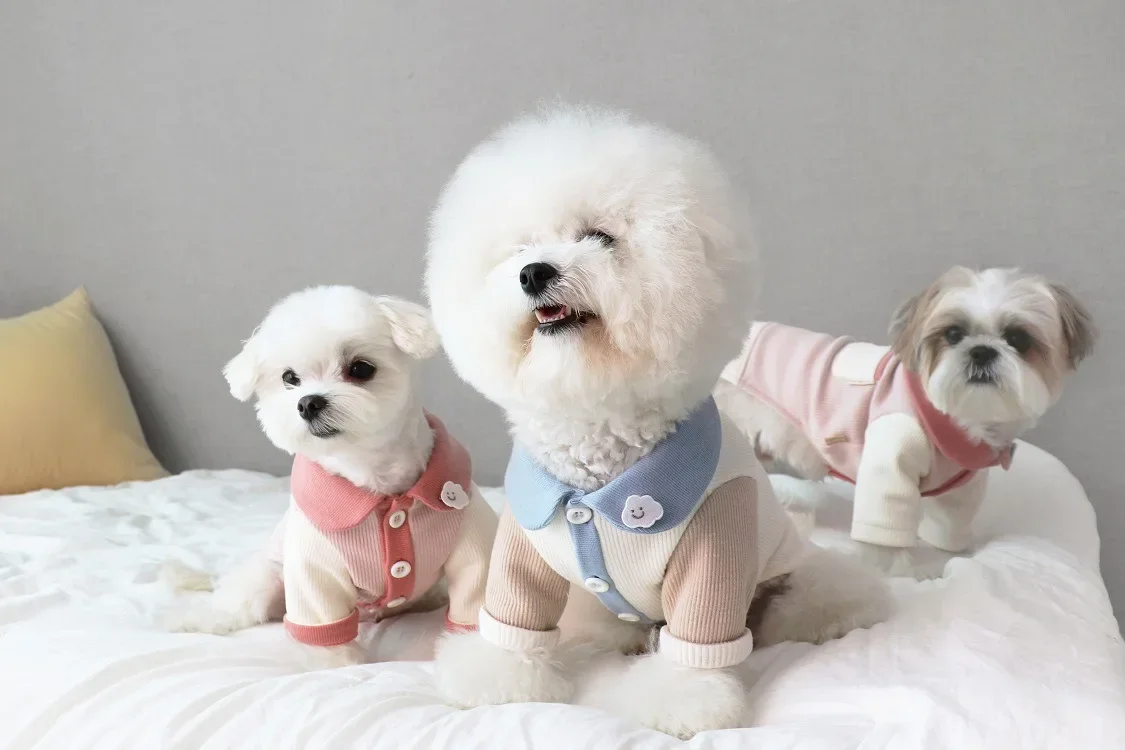 Autumn and Winter Bottoming Shirt Teddy Clothing Than The Panda Mimi Boomerang Two-legged Clothes Small Puppy Pet Clothes