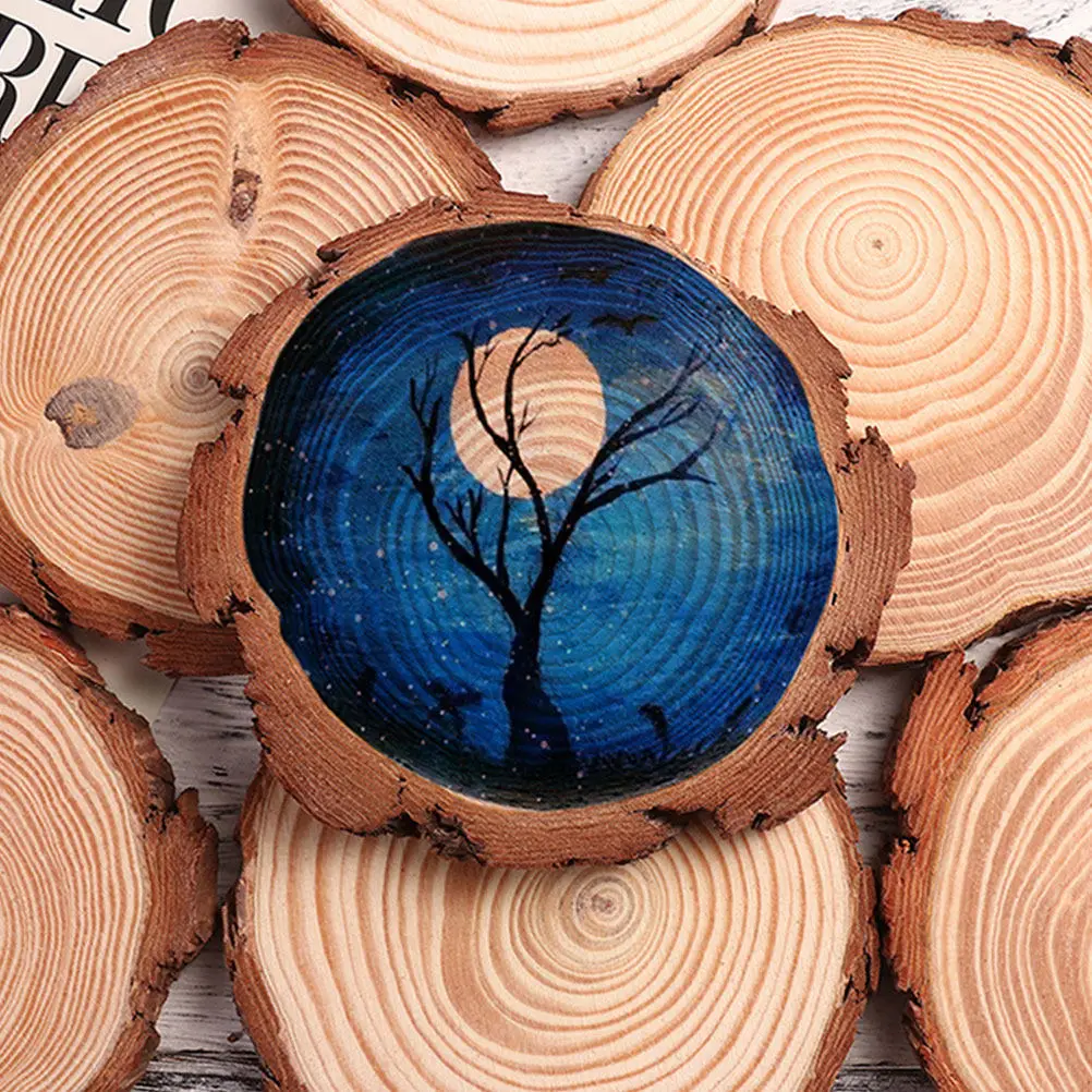 6Pcs Natural Round Wood Slices Unfinished Wooden Craft Discs for Painting Carving Engraving Coasters Door Hanging Class Projects