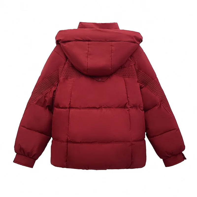 Short Coats Parkas Women Hooded Zipper Jackets Stand Collar Solid Thick Warm Y2k Streetwear Elegant Jacket Autumn Winter 2025