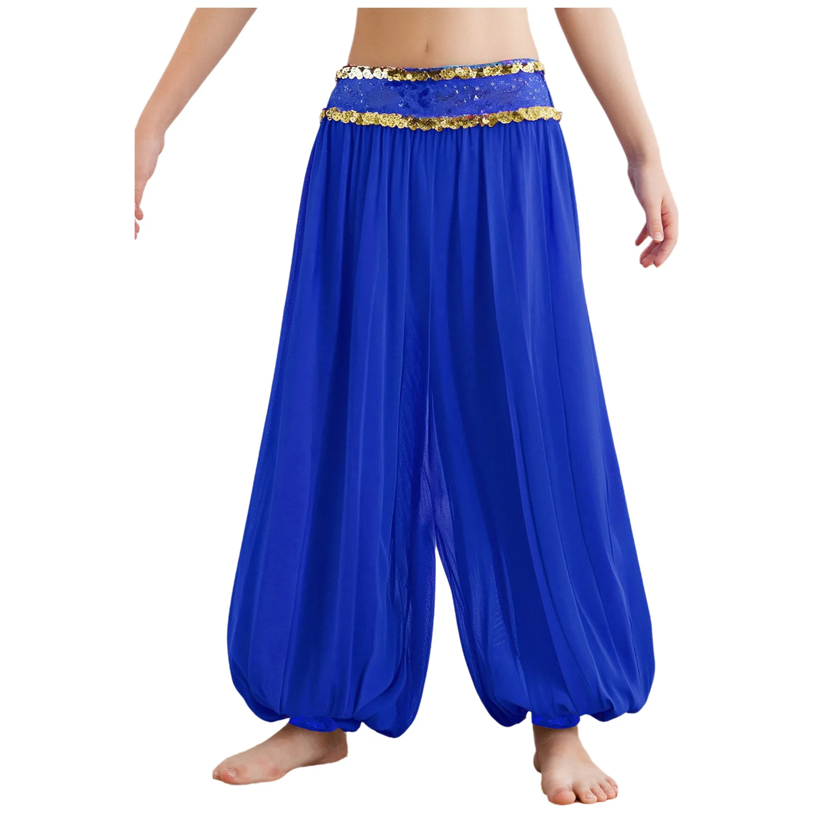 Pantaloni da costume da danza del ventre da principessa araba per ragazze Pantaloni lunghi da danza indiana Cintura dorata Pantaloni da ballo Harem in chiffon vestibilità ampia