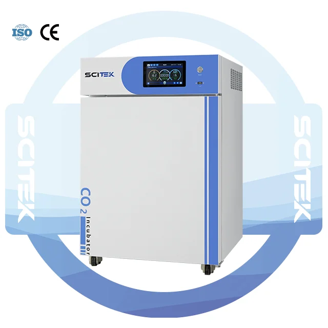 Constant Temperature Humidity Incubator PID Large Touch Screen 3-Year Warranty for Laboratory Medical Agriculture Use