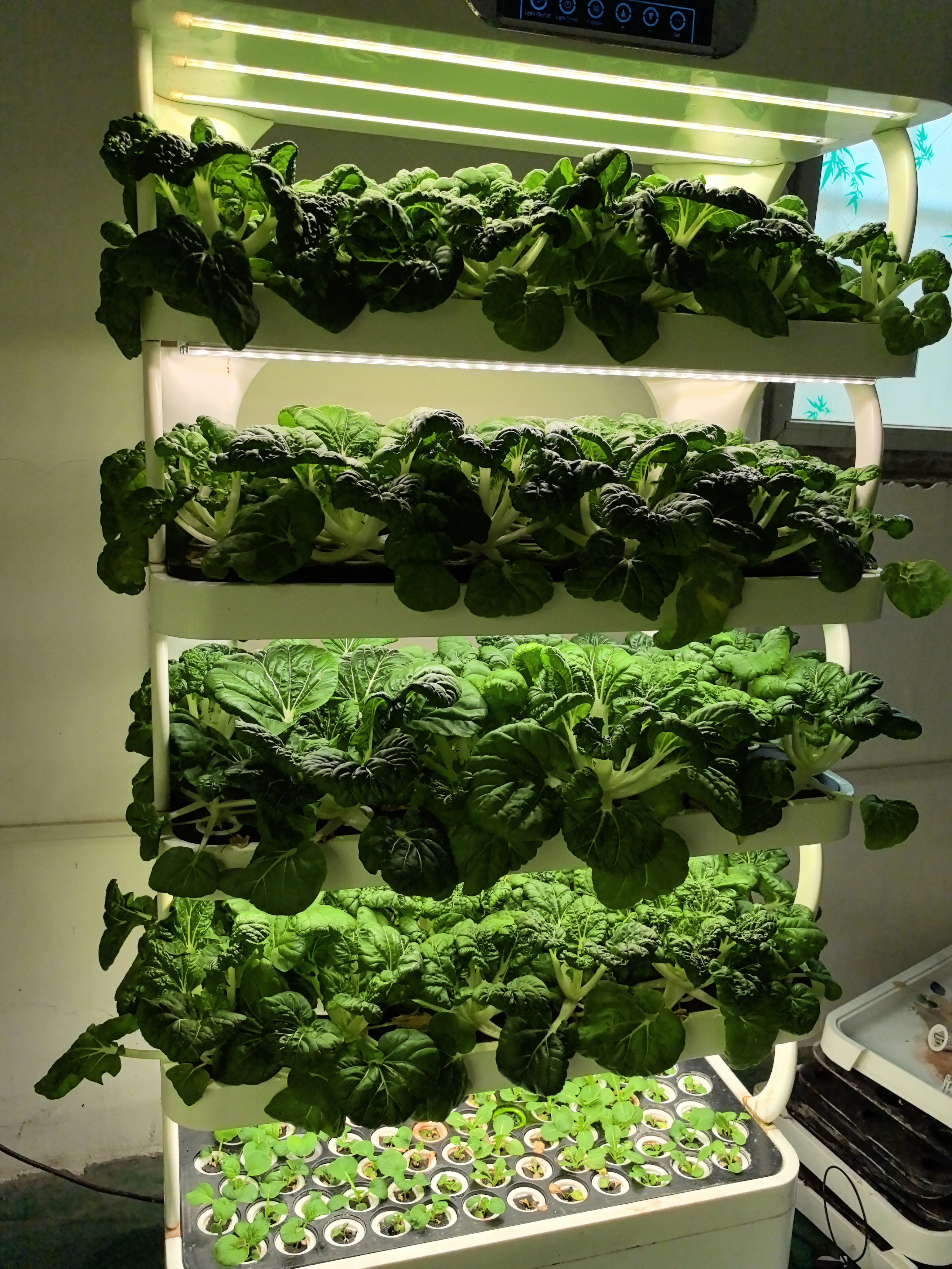 زارع أنظمة النمو المائية زارع داخلي ذكي حديقة المنزل نباتات المزرعة ذكي ذكي #3