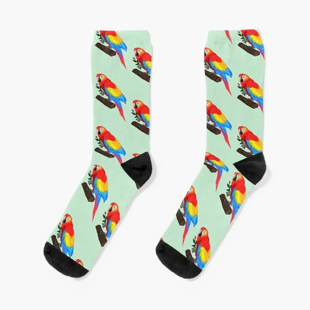 جوارب Scarlet Macaw Socks لكرة القدم الرائعة للرجال والنساء